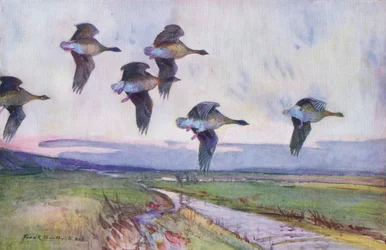 夕方のフライト